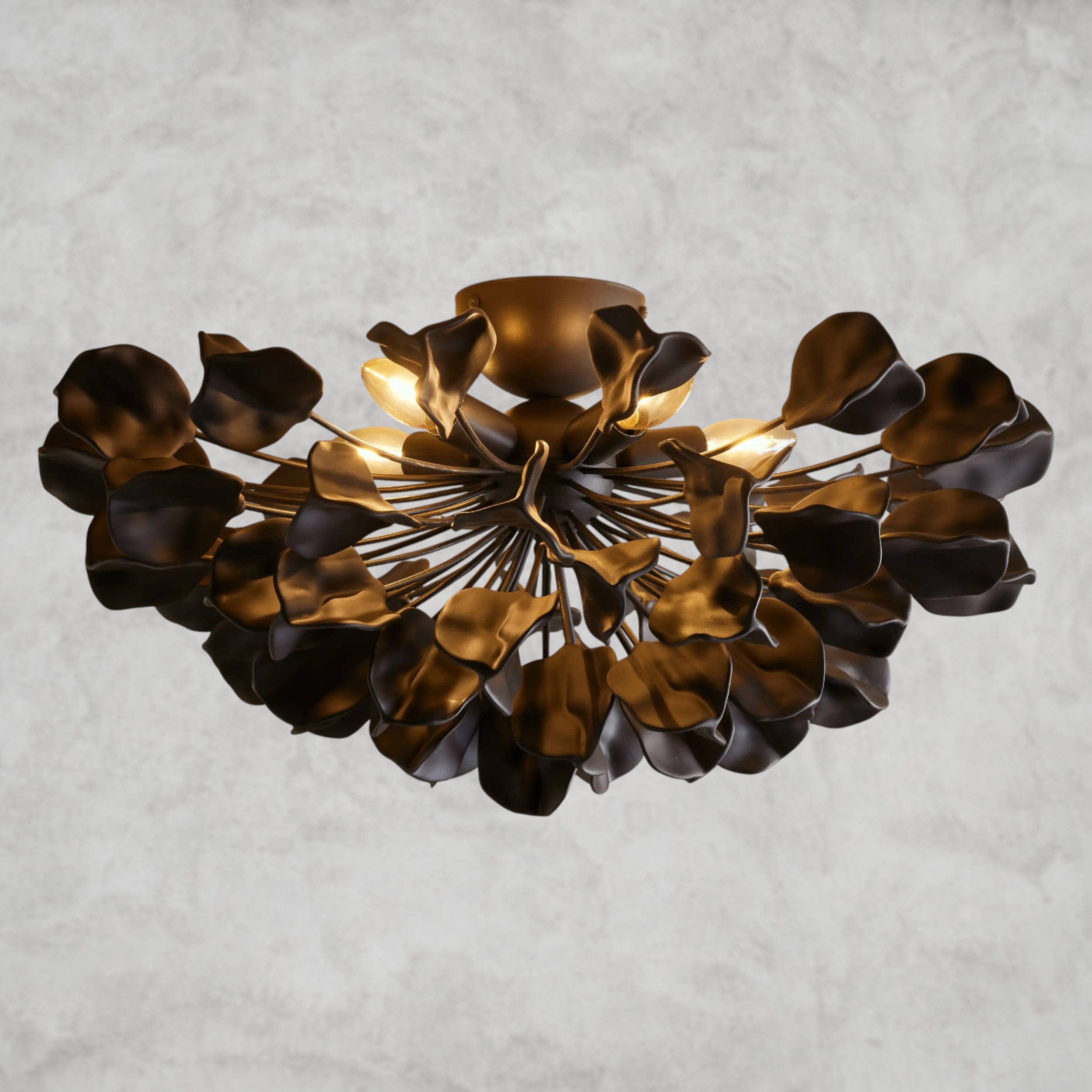 Bronze / Ebony Lunaria Flush Mount