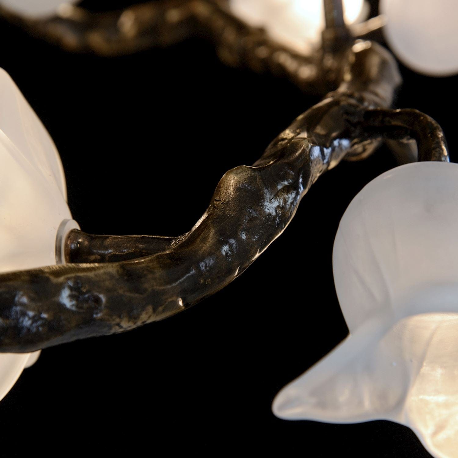 Tulip Glass Bronze Oblong Nineteen-Light Chandelier