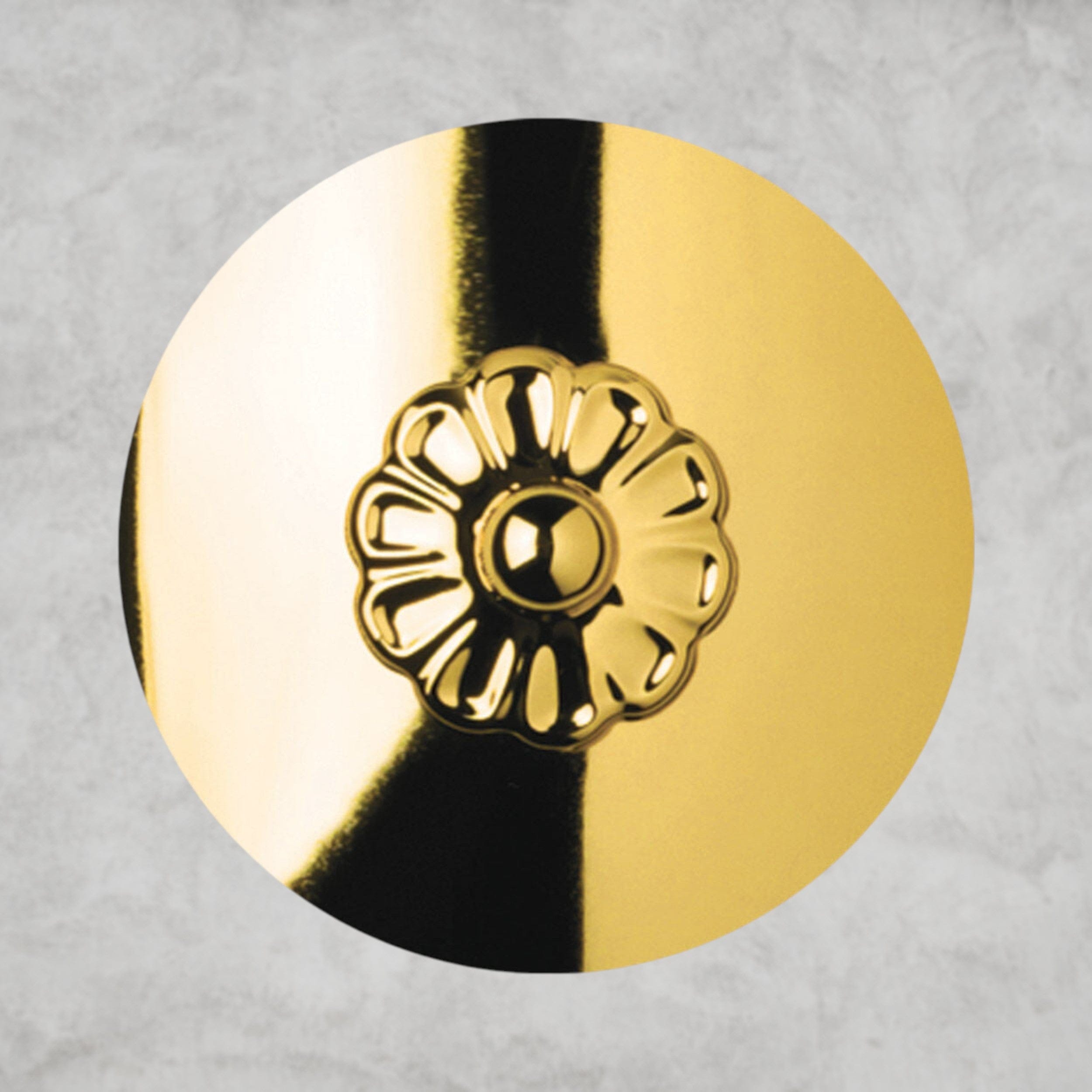 Coinora Century Chandelier 37"